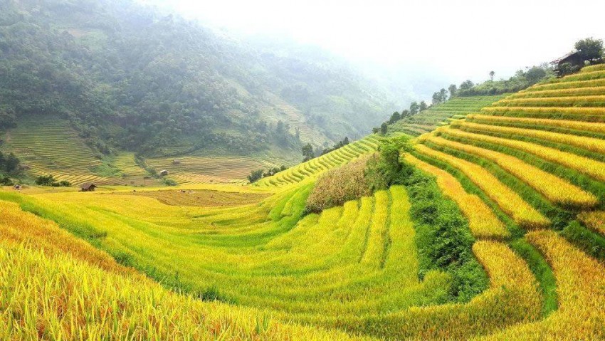 Lào Cai: Tâm điểm đầu tư du lịch, logistics và bất động sản vùng trung du