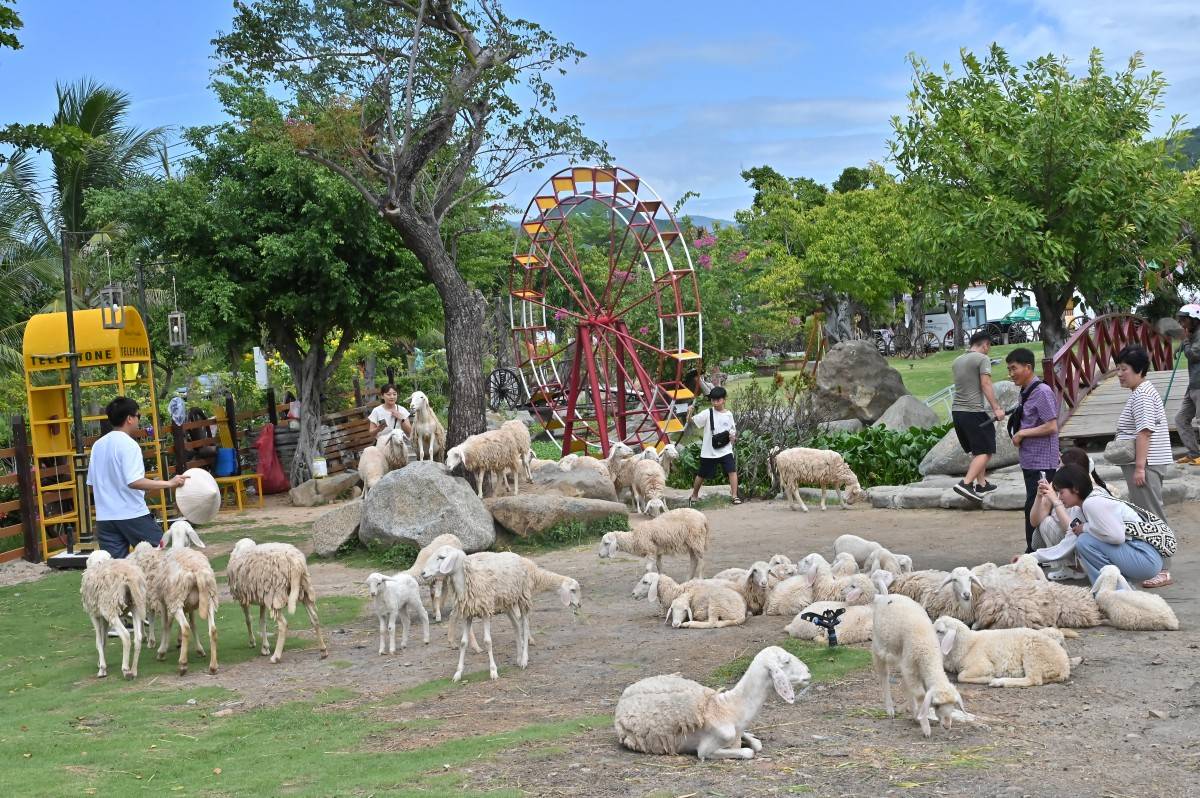 Chương trình famtrip Vũ khúc Chăm pa hòa cùng giai điệu biển cả 2025