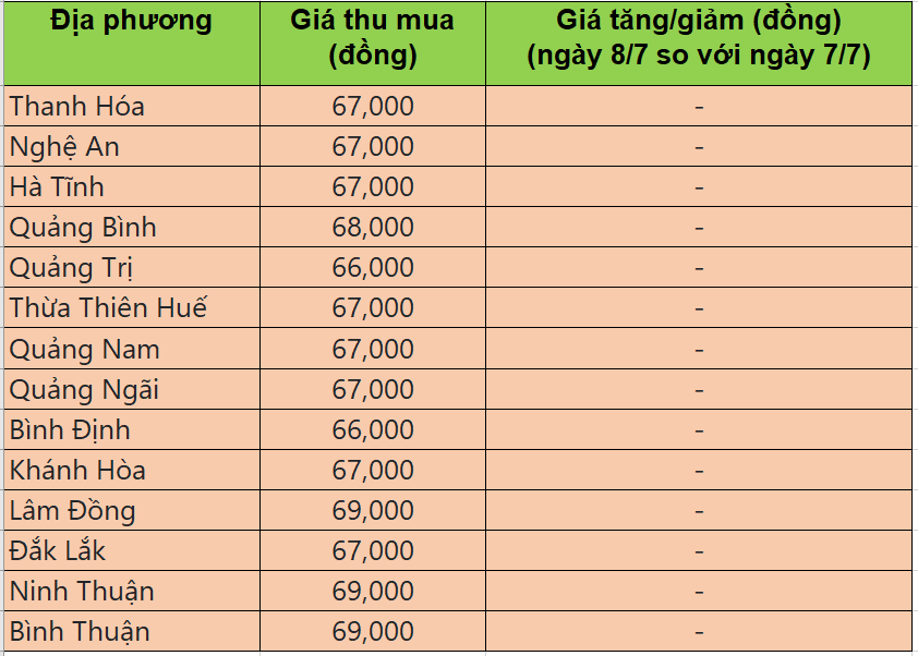 Bảng giá heo hơi tại miền Trung - Tây nguyên hôm nay 8/7/2025