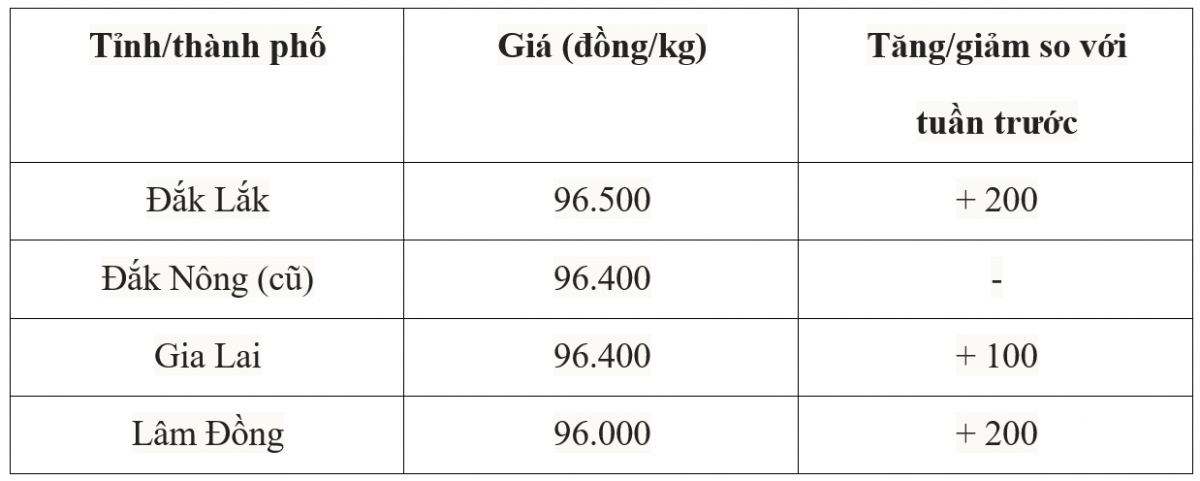 Bảng giá cà phê trong nước hôm nay 8/7/2025