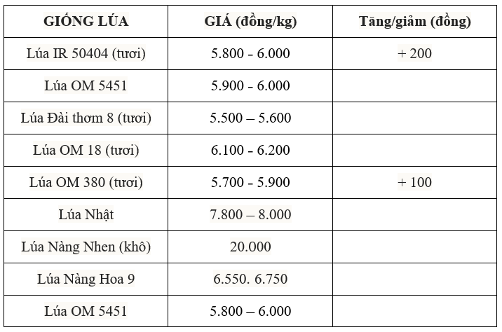 Bảng giá lúa hôm nay 8/7/2025