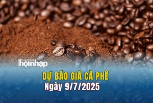 Dự báo giá cà phê 9/7: Giá cà phê trong nước và thế giới "lao dốc"