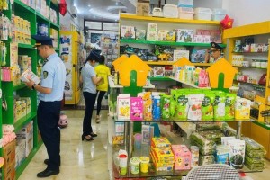 TP. Hồ Chí Minh siết chặt kiểm soát hàng giả, hàng không rõ nguồn gốc trong lĩnh vực y tế