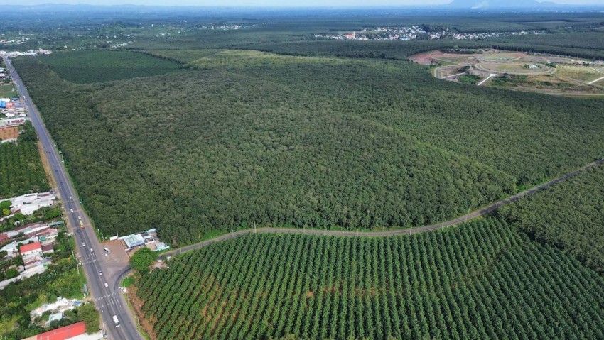 Đồng Nai sắp đấu giá hàng chục khu đất với tổng giá trị hơn 20.600 tỉ đồng