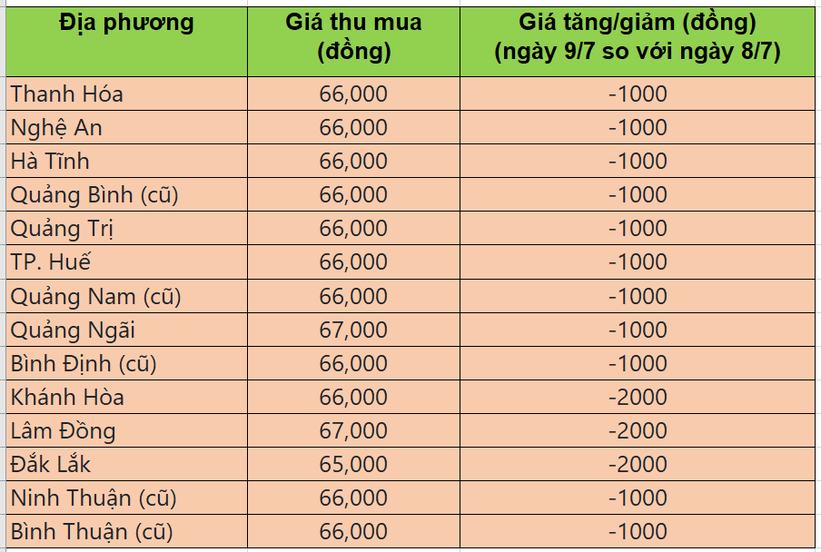 Bảng giá heo hơi tại miền Trung - Tây nguyên hôm nay 9/7/2025