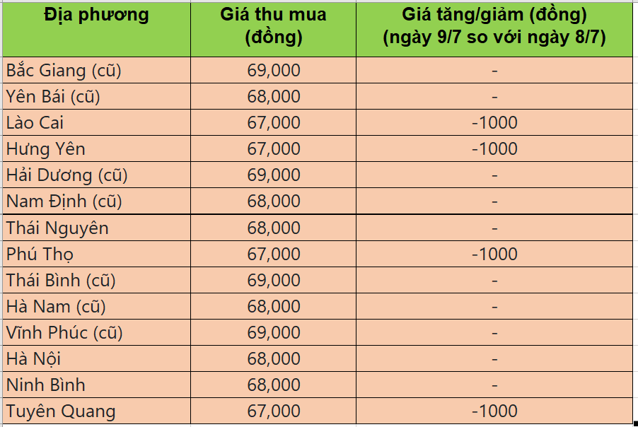 Bảng giá heo hơi tại miền Bắc hôm nay 9/7/2025