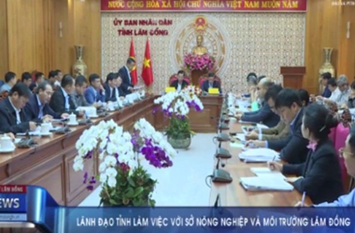Lãnh đạo tỉnh Lâm Đồng làm việc với Sở Nông nghiệp và Môi trường: Đánh giá hiệu quả sáp nhập và định hướng phát triển