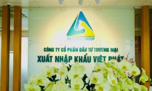 Xuất nhập khẩu Việt Pháp bị phạt 235 triệu đồng vì công bố sai lệch