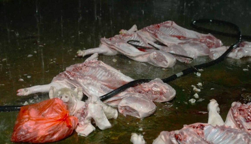 TP. Hà Nội siết kiểm soát an toàn thực phẩm sau vụ thịt heo bệnh tuồn ra thị trường