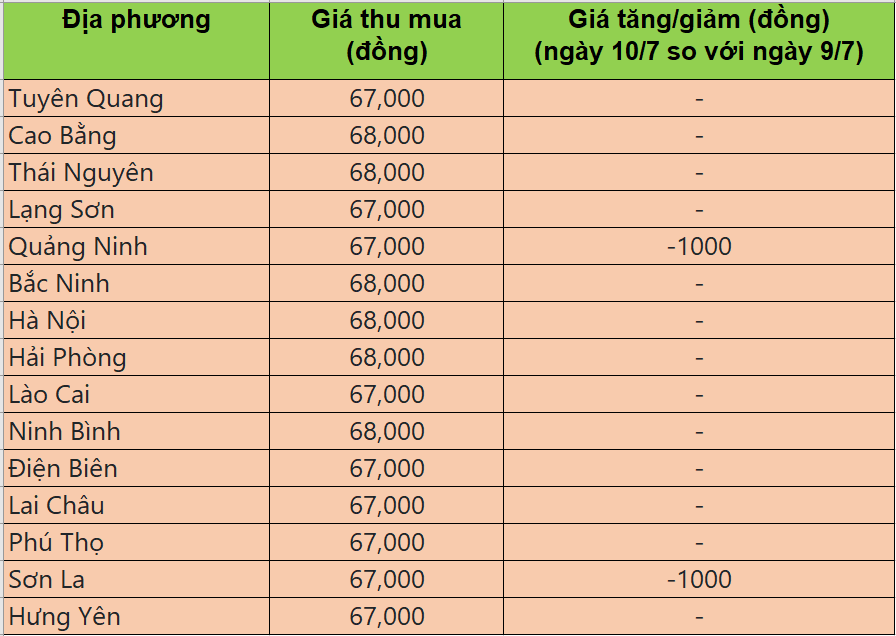 Bảng giá heo hơi tại miền Bắc hôm nay 10/7/2025