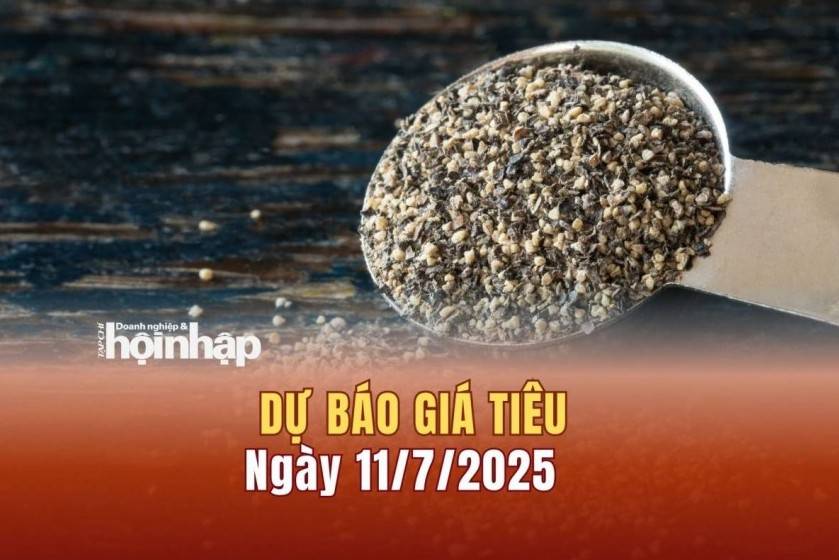 Dự báo giá tiêu 11/7: Giá tiêu trong nước giữ giá "đỉnh"