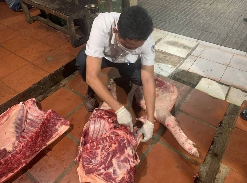Huế: Tăng đột biến ca mắc liên cầu lợn, kiểm tra đột xuất lò mổ ban đêm để siết chặt phòng dịch