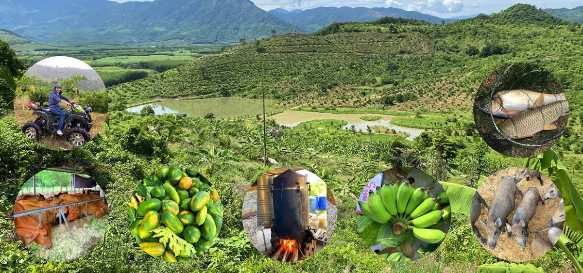 Sản xuất nông nghiệp kết hợp du lịch cộng đồng Trang trại Sản Việt