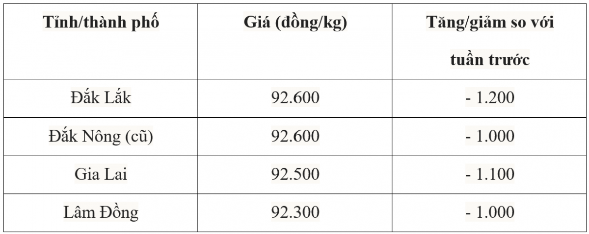 Bảng giá cà phê trong nước hôm nay 11/7/2025