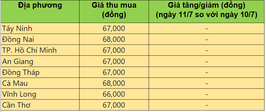 Bảng giá heo hơi tại miền Nam hôm nay 11/7/2025