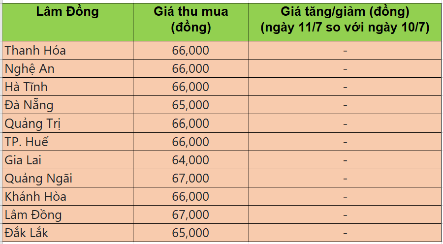 Bảng giá heo hơi tại miền Trung - Tây nguyên hôm nay 11/7/2025