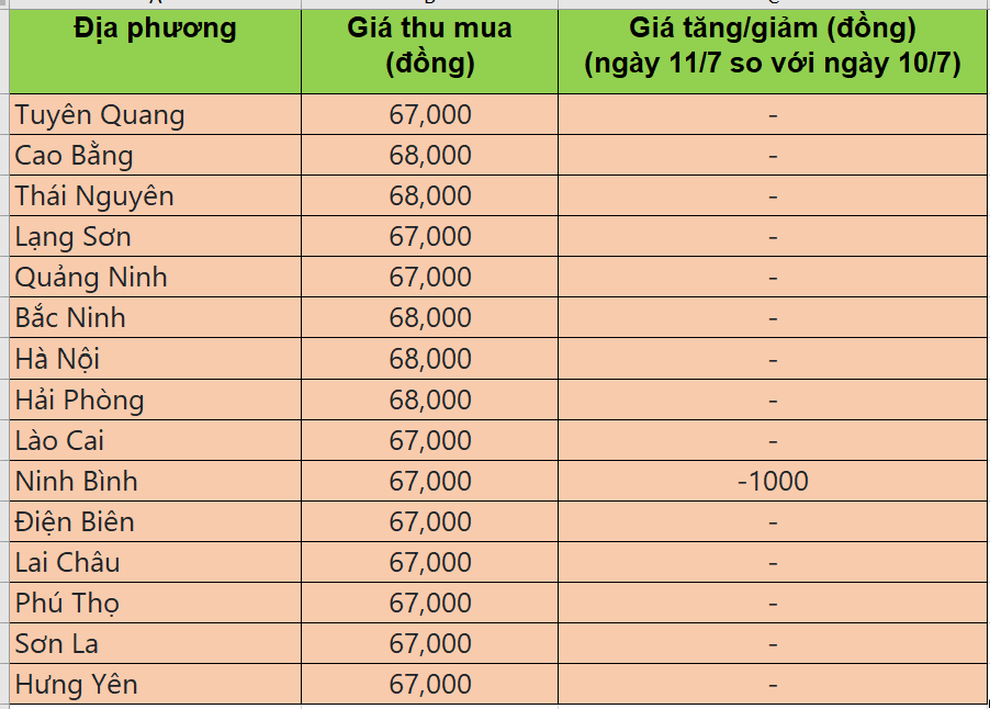 Bảng giá heo hơi tại miền Bắc hôm nay 11/7/2025