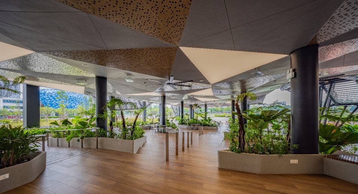 BUV đã đề cao những yêu cầu về xanh hóa ngay từ khi khái niệm này còn mới với nhiều trường đại học.