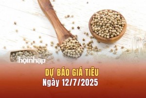 Dự báo giá tiêu 12/7: Giá tiêu trong nước "rớt" giá mạnh