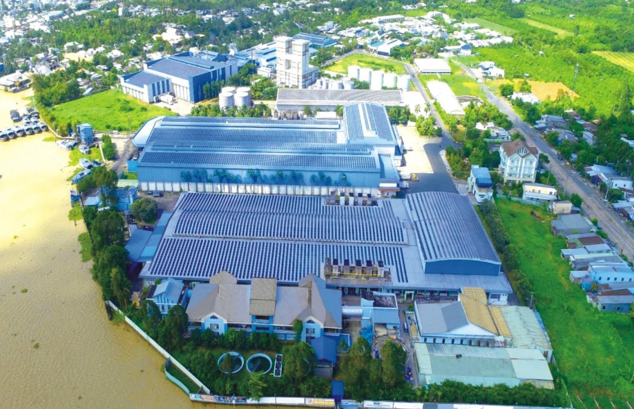 Mảng xuất khẩu cá tra của Tập đoàn Sao Mai đứng trước vận hội mới