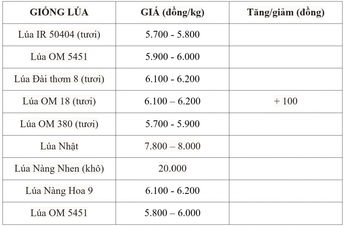 Bảng giá lúa hôm nay 12/7/2025