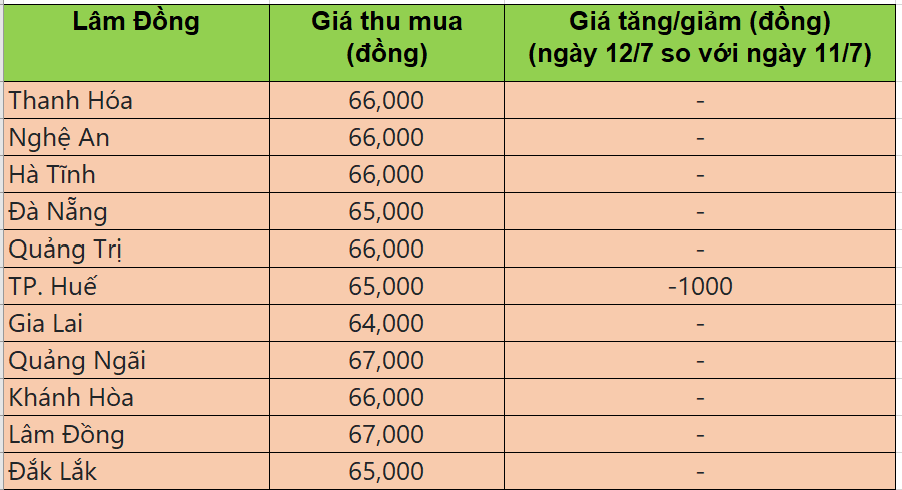 Bảng giá heo hơi tại miền Trung - Tây nguyên hôm nay 12/7/2025