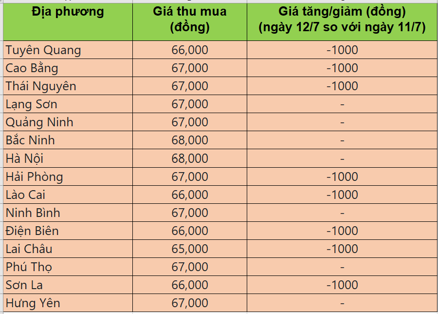Bảng giá heo hơi tại miền Bắc hôm nay 12/7/2025