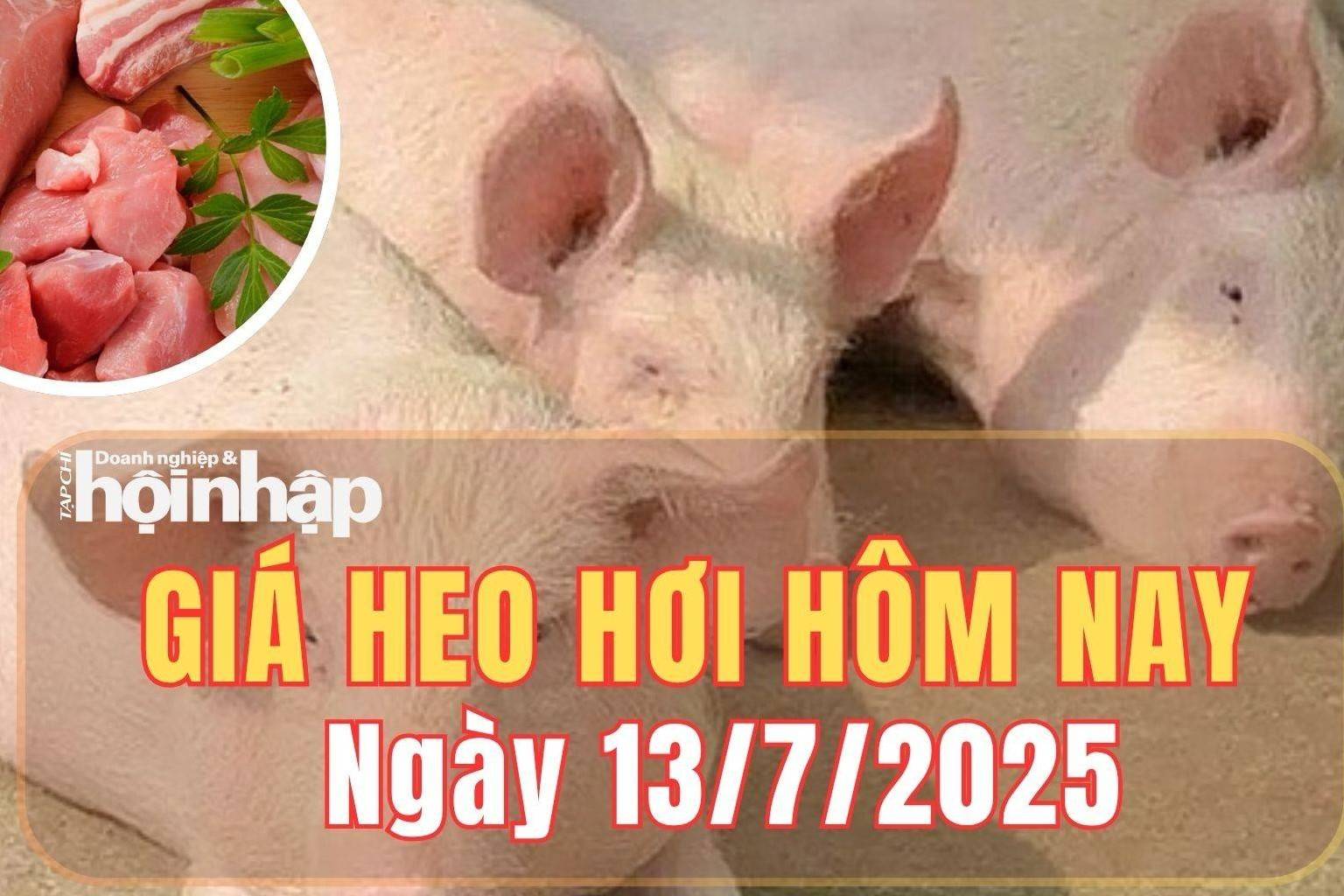 Giá heo hơi hôm nay 13/7/2025: Giá heo hơi giảm nhẹ tại một số tỉnh phía Bắc và miền Trung