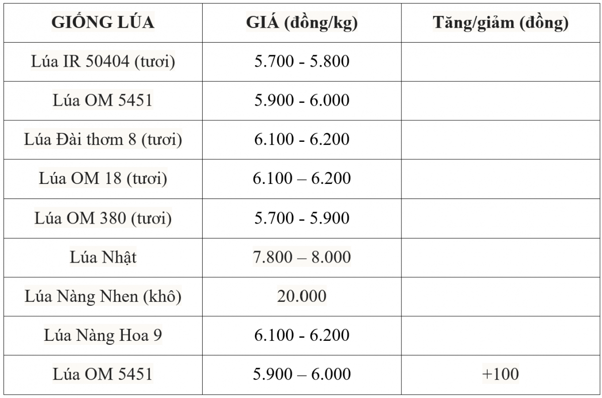 Bảng giá lúa hôm nay 13/7/2025