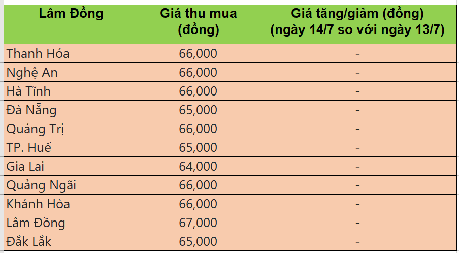 Bảng giá heo hơi tại miền Trung - Tây nguyên hôm nay 14/7/2025