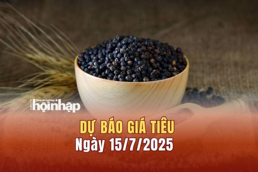 Dự báo giá tiêu 15/7: Giá tiêu trong nước đồng loạt quay đầu giảm