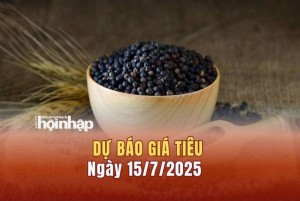 Dự báo giá tiêu 15/7: Giá tiêu trong nước đồng loạt quay đầu giảm