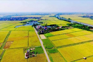 Bộ Tài chính đề xuất giảm mạnh mức truy thu tiền sử dụng đất