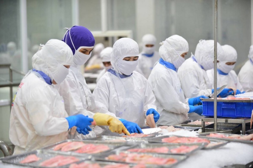 VASEP kiến nghị Bộ Tư pháp gỡ vướng pháp lý cho doanh nghiệp thủy sản