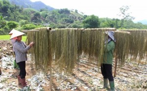 Sơn La linh hoạt huy động viện trợ quốc tế cho phát triển bền vững