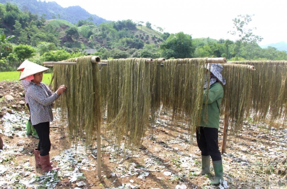 Sơn La linh hoạt huy động viện trợ quốc tế cho phát triển bền vững