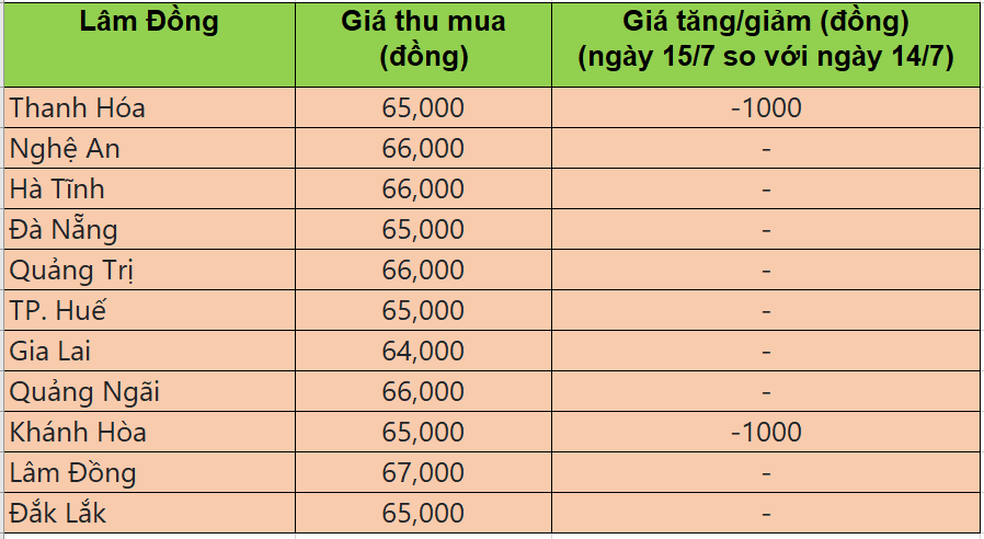Bảng giá heo hơi tại miền Trung - Tây nguyên hôm nay 15/7/2025