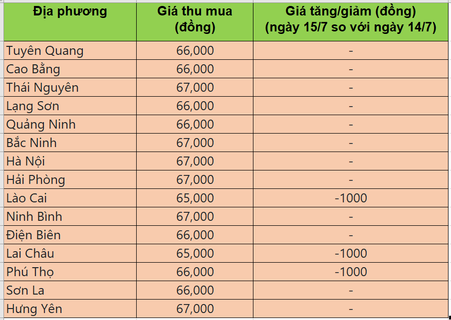 Bảng giá heo hơi tại miền Bắc hôm nay 15/7/2025