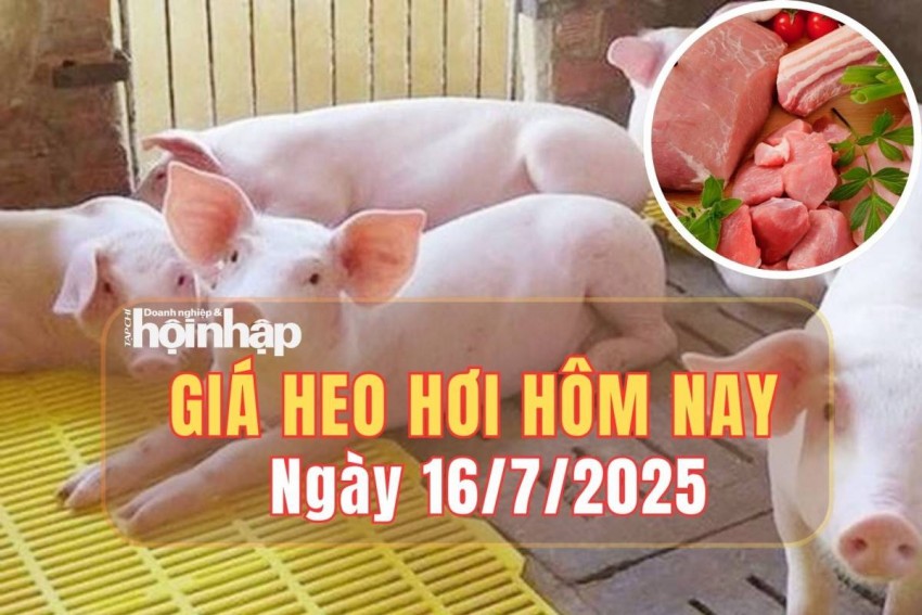 giá heo hơi