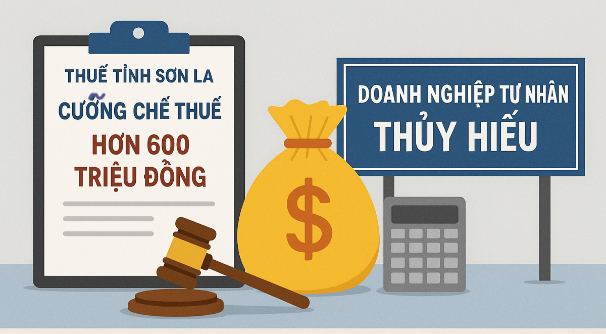 Sơn La cưỡng chế thuế hơn 600 triệu đồng một doanh nghiệp tư nhân