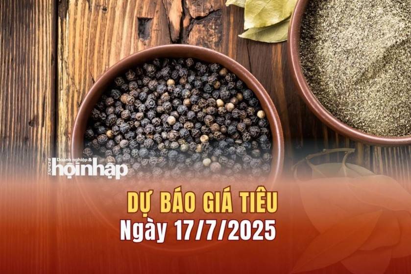 Dự báo giá tiêu 17/7: Giá tiêu trong nước đảo chiều giảm
