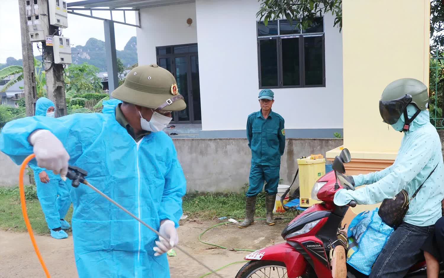 Phú Thọ: Dịch tả lợn châu Phi lan rộng, hơn 1.300 con bị tiêu huỷ