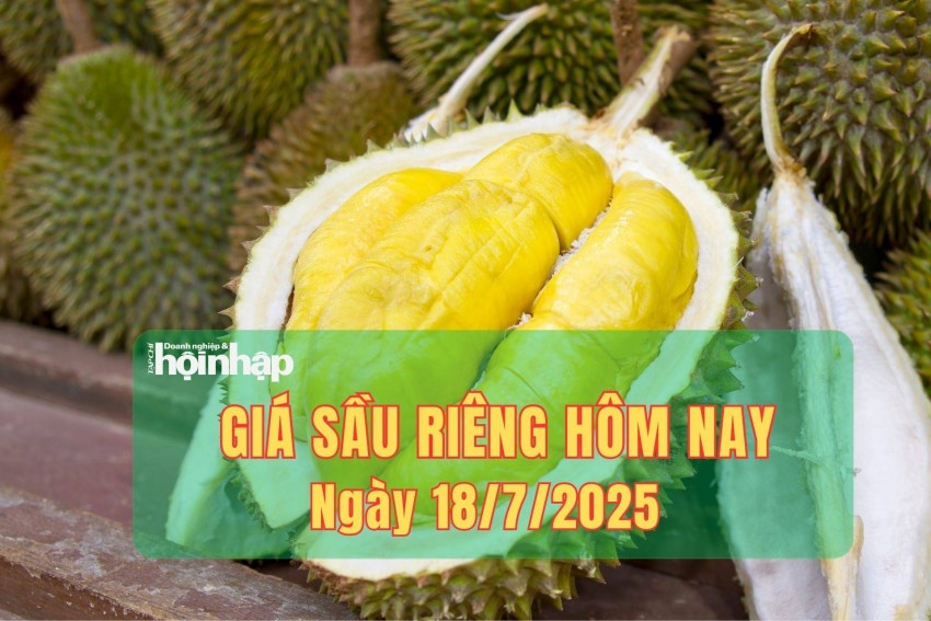 Giá sầu riêng hôm nay 18/7: Sầu riêng Thái loại A giữ giá 75.000-80.000 đồng/kg