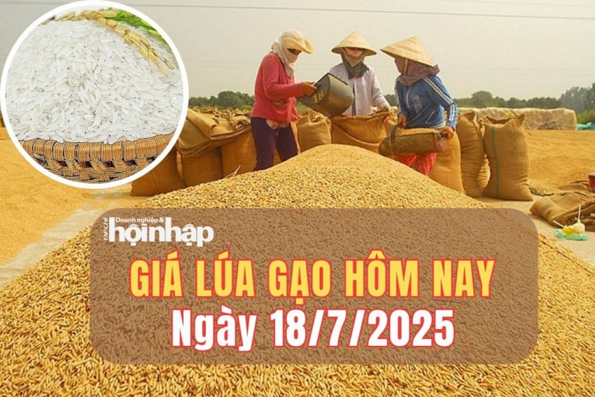 Giá lúa gạo hôm nay 18/7/2025: Giá lúa ổn định, gạo giảm nhẹ