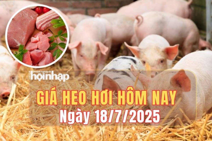 Giá heo hơi hôm nay 18/7/2025: Giá heo hơi tiếp tục giảm trên cả nước, miền Bắc chạm mốc 63.000 đồng/kg