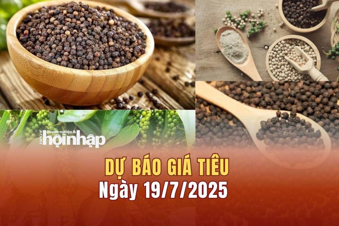 Dự báo giá tiêu 19/7: Giá tiêu trong nước có xu hướng "rớt" giá mạnh