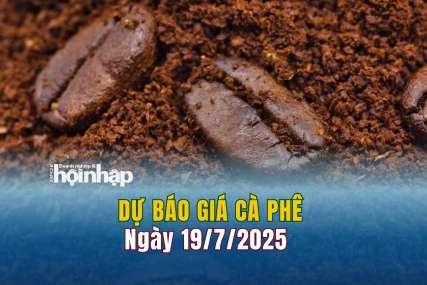 Dự báo giá cà phê 19/7: Cà phê trong nước có xu hướng giảm