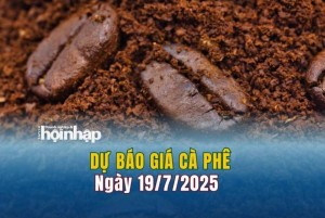 Dự báo giá cà phê 19/7: Cà phê trong nước có xu hướng giảm