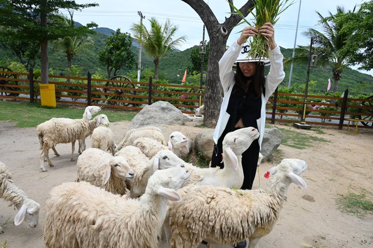 Khu du lịch Natural Paradise: Thiên đường sinh thái giữa miền nắng gió Ninh Thuận