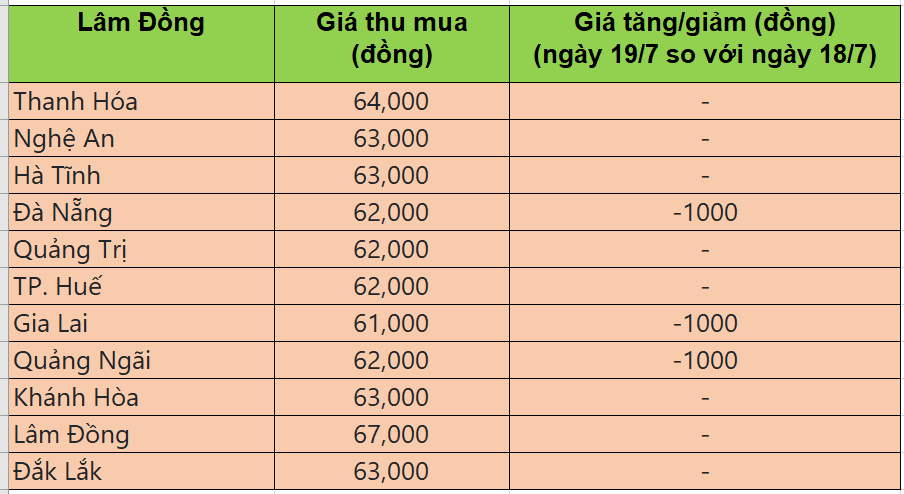 Bảng giá heo hơi tại miền Trung - Tây nguyên hôm nay 19/7/2025